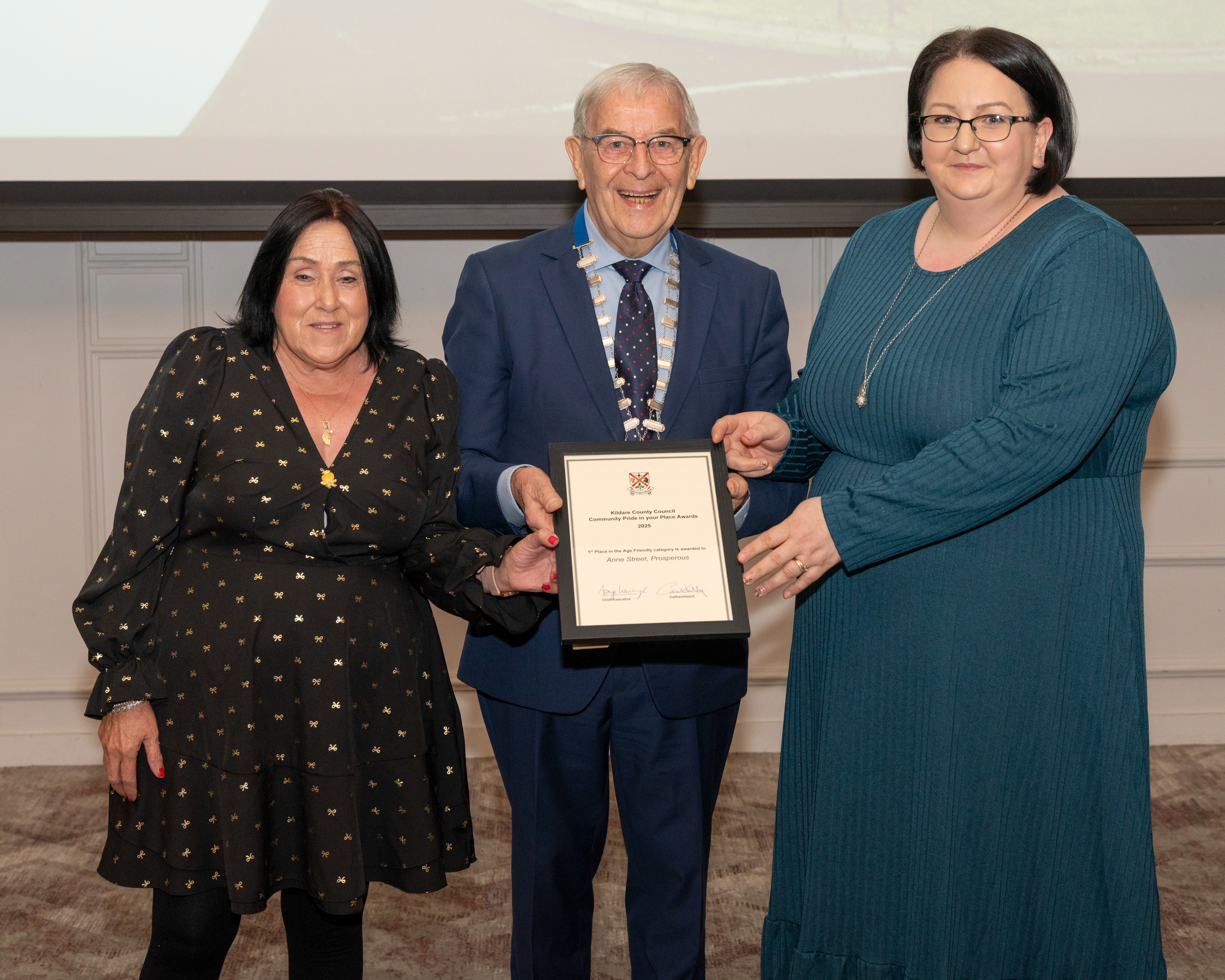 Anne Street, Age Friendly Award